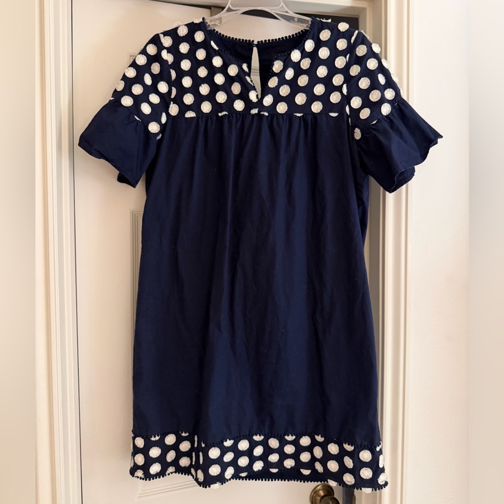 J. Crew Navy and White Polka Dot Dress